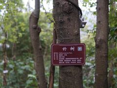 -三峡梯城