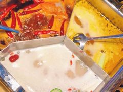 -大熊猫毛肚火锅(烟台万象汇店)