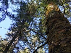 -硗碛藏寨·神木垒景区