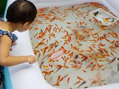 -金茂览秀城