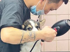 -FAELING PETS美天灵宠物(富力广场店)