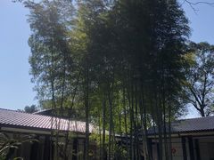 -南山植物园
