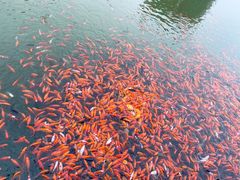 -西海子公园