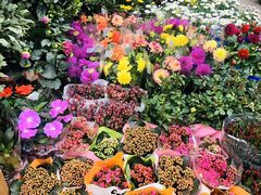 -双季花艺园艺市场(浦东店)