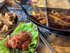 -乖嬢嬢重庆老火锅(南联店)