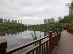-重庆彩云湖湿地公园