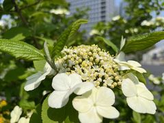 -天鹅湖体育公园