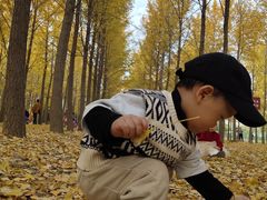 -汉景帝阳陵博物院