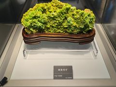 -安徽省地质博物馆