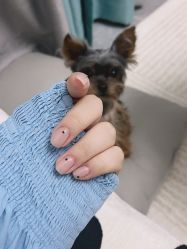 -艾薇美甲美睫