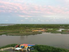 -春花秋色城市公园