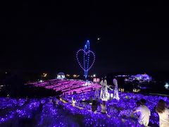 -大塘金香草谷