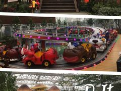 -南宫五洲植物乐园