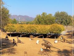 -北京张裕爱斐堡酒庄