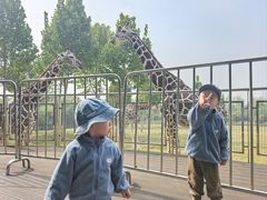 -合肥野生动物园
