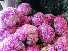 -参差咖啡(水果湖公园店)