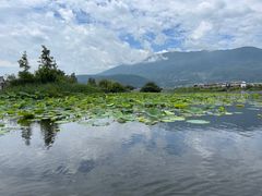 -大理洱源西湖景区