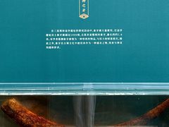 -烟台市博物馆