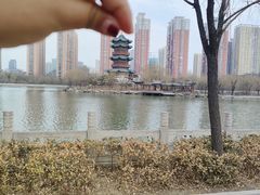 -迎泽公园