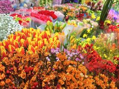 -朝来春花卉市场