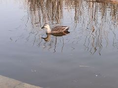 -前关湿地公园