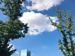 -重庆市江北嘴中央商务区中央公园