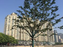 -西北湖绿化广场