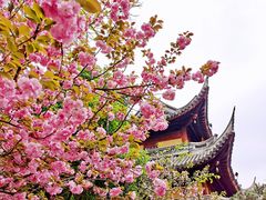 -龙华寺