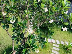 -芽庄MP泰式海鲜海景餐厅