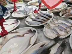-鲜得莱渔港·小平岛海胆馆(七贤岭店)