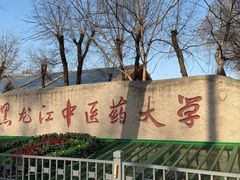 -黑龙江中医药大学
