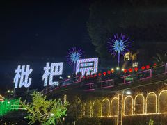 -枇杷园食为鲜火锅(南山店)
