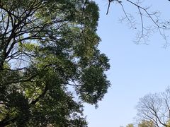 -拙政园