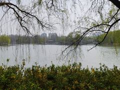 -达活泉公园