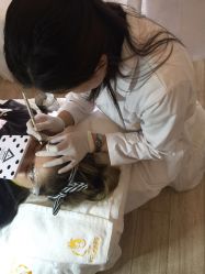 -VON半永久眉学设计