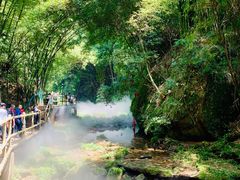 -川西竹海景区