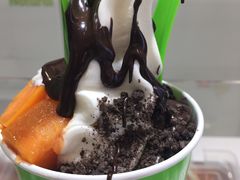 -Salud撒露欧洲冻酸奶(蓝色港湾店)