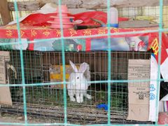 -小鱼草莓采摘园农家乐·小鱼餐厅