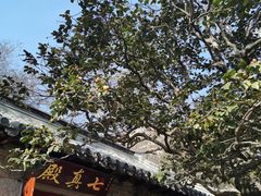 -青岛崂山太清宫
