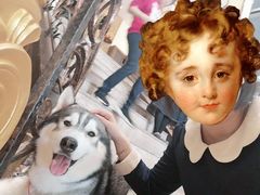 -more than meow吴止猫主题餐厅(承德 中船汇店)