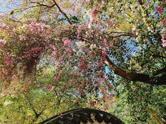 -深圳国际园林花卉博览园