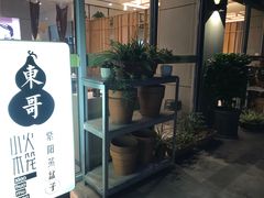 -东哥紫阳蒸盆子(旺座·现代城店)