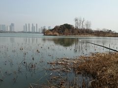 -渤公岛生态公园