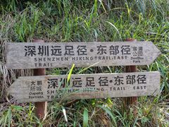 -梧桐山风景名胜区