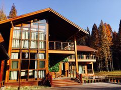 -黄海国家森林公园