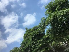-天后宫民俗文化街