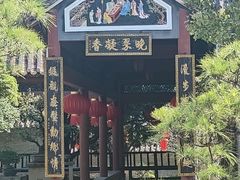 -碧江金楼