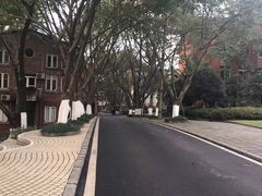 -黄桷坪涂鸦艺术街