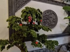 -呼吸森林·生态农庄农家乐私房菜