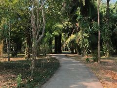 -中国科学院西双版纳热带植物园